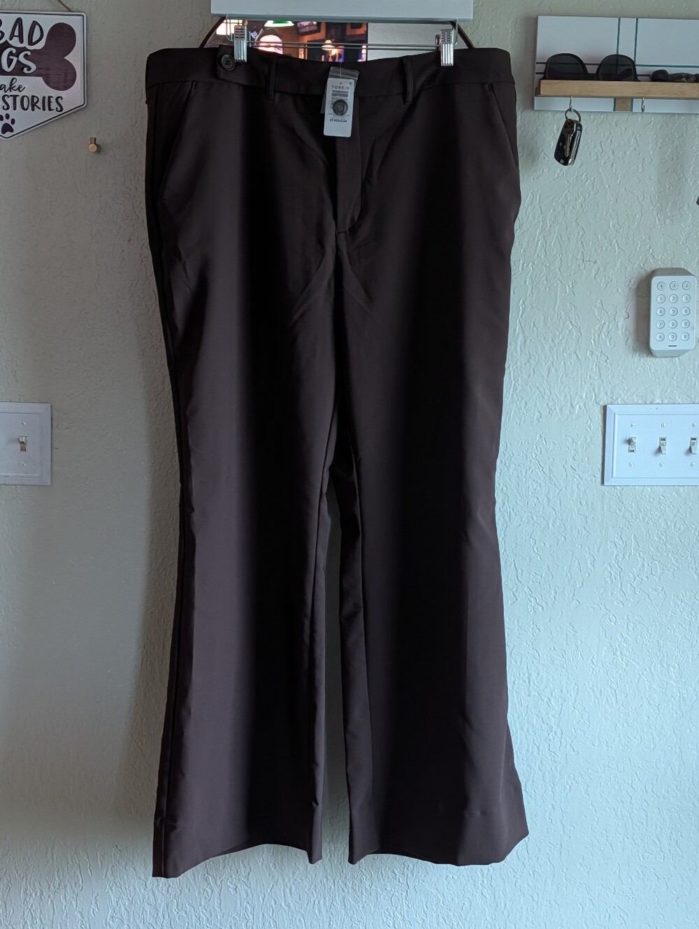 Torrid Coffee Bean Ponte Pants - Brown